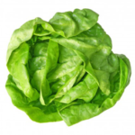 Butter lettuce (per unit)