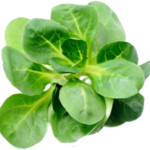 Lambs lettuce (per unit)