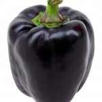 Purple peppers (per kg)